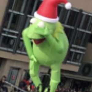 Meet your Posher, Bella